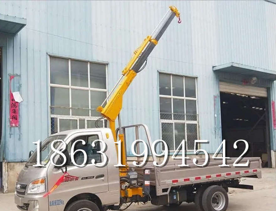 安乡县随车吊机装卸货物1/2吨吊机220伏家用吊机小吊机220V搬运随车吊机安乡县附近